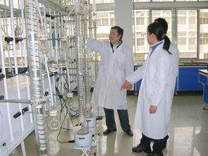 化学工程系自行开发精细化工技术综合实训方案与工程技术服务